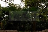 leipzig zoo-01_07_2011_gondwanaland_071